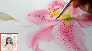 Painting Tiger Lily in Watercolor [upl. by Hujsak758]