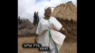 New Ethiopian music Video Amsal Mitke Zigeyebegn [upl. by Yentrac408]