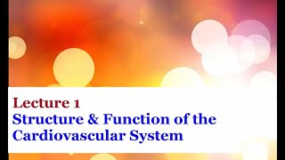 Lecture 1  Introduction to the Cardiovascular System [upl. by Temp]