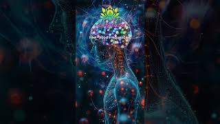 Feel Good Frequencies  Fast Track To Joy – Release Happiness Brain Hormones  Alpha Waves Music [upl. by Kimitri]