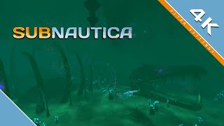 Subnautica quotGargantuan Fossilquot  4K [upl. by Audley]