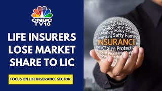 LIC Gains Market Share From Other Insurers In FY25 So Far  CNBC TV18 [upl. by Immas]