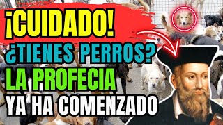 CHOCANTE Lo Que Nostradamus Predijo Para Quienes Tienen PERRO EN CASA  Profecías Reveladas [upl. by Trebbor]