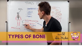 Types of Bones [upl. by Rustin]