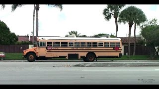 RANDOM SCHOOL BUSES FILMED BETWEEN 2013 AND 2016 [upl. by Annael]