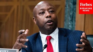 Tim Scott Bemoans Backwards Government Spending Policies [upl. by Nairam180]