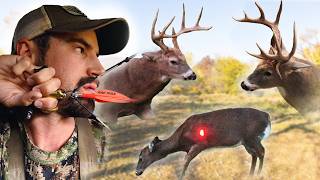 Bowhunting Cold Front Magic  7 Deer Down [upl. by Teufert367]