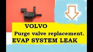 VOLVO codes P0442 p0443 p0446 EVAP SYSTEM LEAK PURGE SOLENOID VALVE VOLVO [upl. by Gwen]