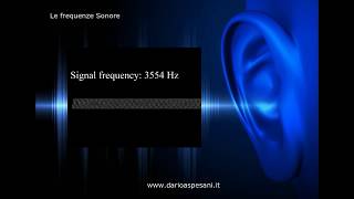 Le frequenze sonore da 20 a 19 995 hz Fai il test [upl. by Mandy]