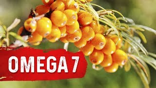 The Benefits of Omega7 Fatty Acids  Dr Berg on Essential Fatty Acids [upl. by Eruot167]