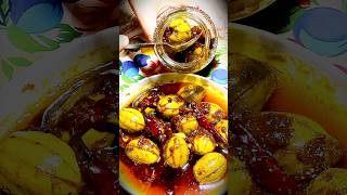 ঝাল টক মিষ্টি জলপাই আচার  jolpai achar  😋🌟 shorts [upl. by Freida]