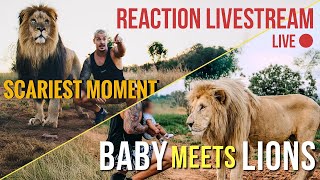 Dean Schneider LIVE  Baby Meets Lion 🦁 [upl. by Oramlub868]