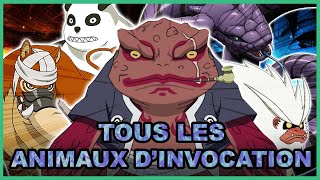 Toutes les Invocations et leurs Pouvoirs Expliquées  Naruto [upl. by Dloreg]