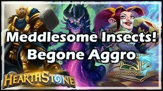 Hearthstone Meddlesome Insects Begone Aggro [upl. by Joris]