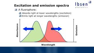 Fluorescence Spectroscopy Tutorial  Basics of Fluorescence [upl. by Dasha73]