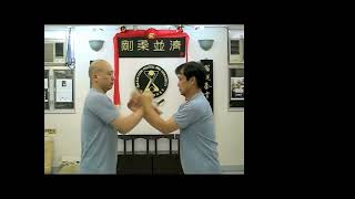 Wan Kam Leung Practical Wing Chun  Vietnam [upl. by Papp]