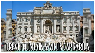 The Stunning Trevi Fountain amp Archaeological Site Vicus Caprarius City of Water [upl. by Gina]