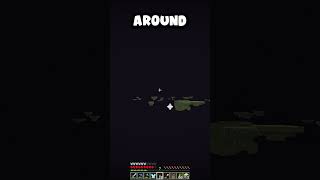 How to Find an Elytra in Minecraft [upl. by Honeyman479]