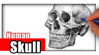 How to Draw a Skull with Pencil [upl. by Atselec]