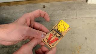 How to Set a Mousetrap [upl. by Wright]