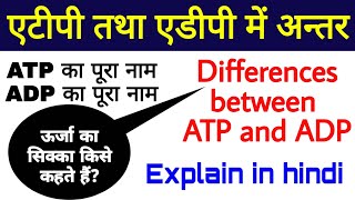 एटीपी तथा एडीपी में अन्तर  Differences between ATP and ADP  biology science sk [upl. by Hsekin611]