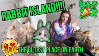 EXPLORING JAPANS RABBIT ISLAND Everything you need to know about Okunoshima BUNNY ISLAND [upl. by Cony]