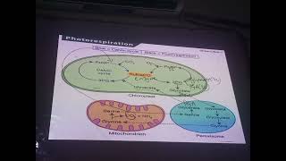 chp4 bio photorespiration last lecture class 11 sum academy larkana [upl. by Entwistle]