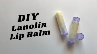 DIY Lanolin Lip Balm [upl. by Annabel618]