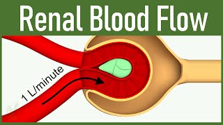 06 Renal Blood Flow [upl. by Anolla]