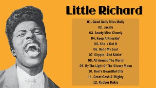 Little Richard Greatest Hits Full Album Top Song Of Little Richard Rock n Roll [upl. by Treblih504]