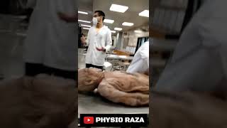 MBBS Students With Dead Body 🙄 Dissection Hall  Medical College  Physio Raza [upl. by Ruiz]