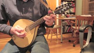 Morrisons Jig Mandolin [upl. by Saltzman]