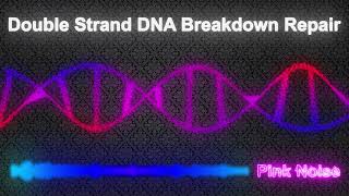 Double Strand DNA Breakdown Repair Anti Aging [upl. by Krell]