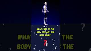 What part of your body contains the most bones General Knowledge Quiz [upl. by Curson]