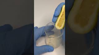 Lemon vs Bacteria health microscope interesting [upl. by Illene461]