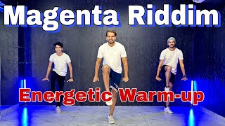 Magenta Riddim  DJ Snake  Warmup Routine  Fitness  Akshay Jain Choreography [upl. by Idolah]