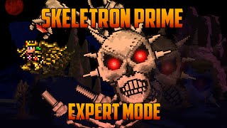 Terraria 13  Skeletron Prime Expert Mode Boss Battle [upl. by Elohcan]