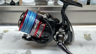 Daiwa Ninja LT 6000 [upl. by Dyanne952]