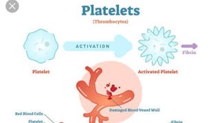 Platelets Properties and Functions Thrombocytopenia amp Thrombocytosis [upl. by Nilat]