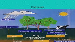 Ciklet biogjeokimike dhe madhesia e popullates [upl. by Akienaj245]