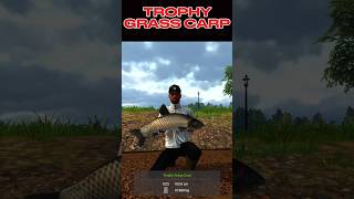 Fishing Planet TROPHY GRASS CARP fishing huntfish shark carphunter [upl. by Reggis]