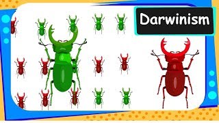 Biology  Darwins Theory of Natural Selection  Heredity and Evolution  Part 10  English [upl. by Kinom521]