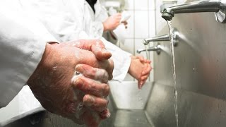 Hand Washing Technique  Campden BRI [upl. by Schear585]