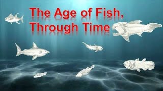 The Age of Fish [upl. by Napoleon433]