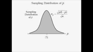 Business Statistics lecture 7  Sampling Distribution [upl. by Anneres]