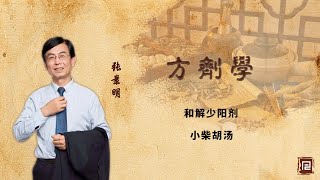 和解少阳剂  小柴胡汤 [upl. by Annuaerb]