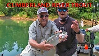 Kentuckys Cumberland River Trout Fishing [upl. by Ambrosane]