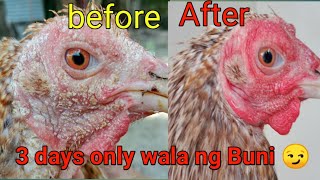 ANO ANG GAMOT SA BUNI NG MANOK [upl. by Clark158]