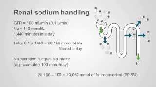 Understanding Diuretics Key Principles amp Philosophy [upl. by Aid]