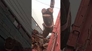 Ara machine acacia Timber unloading wood acaciawood babool youtubeshorts youtube [upl. by Chapnick]